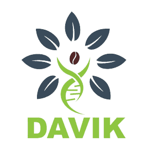 Davik