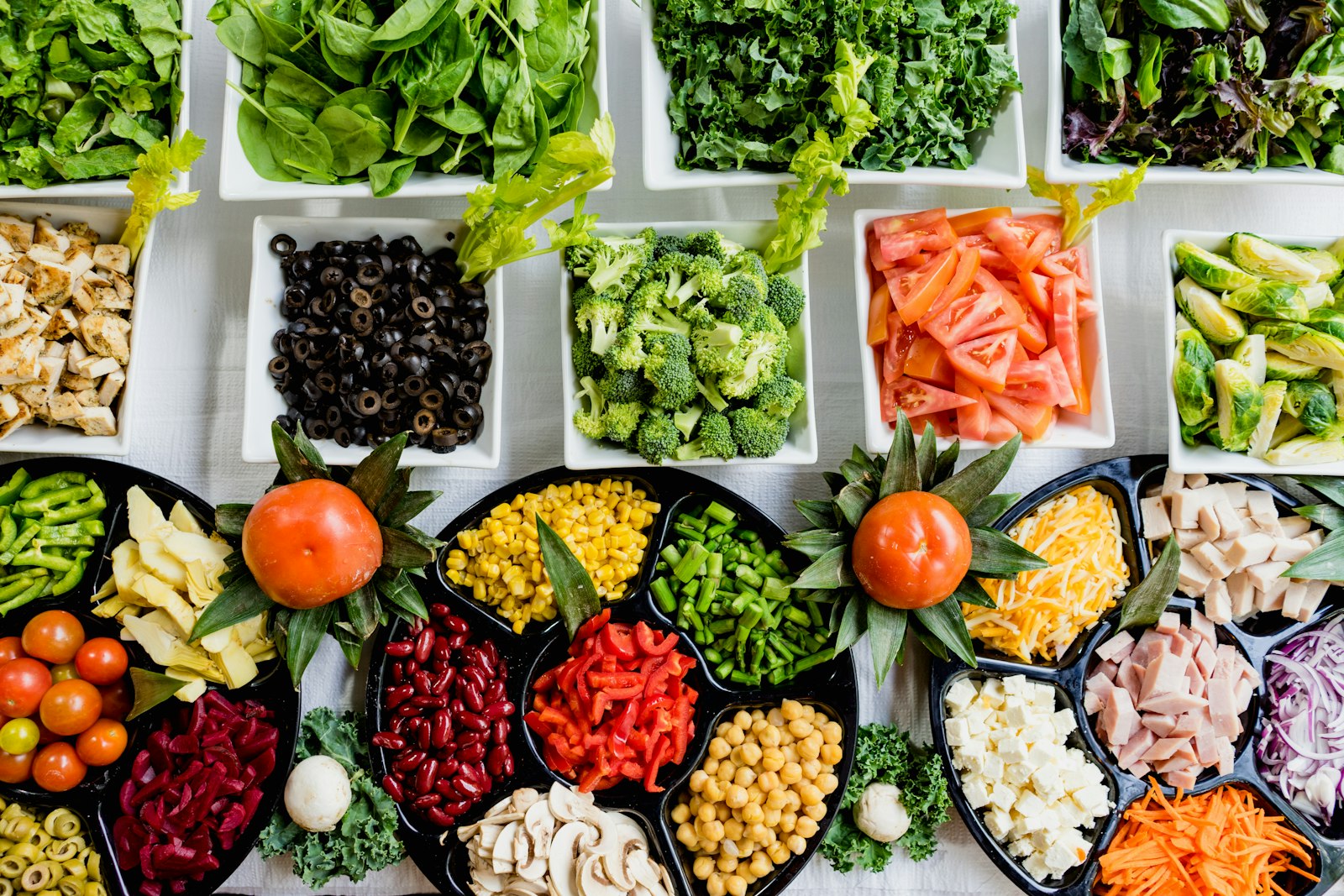 Healthy vegetarian meal representing global plant-forward foods