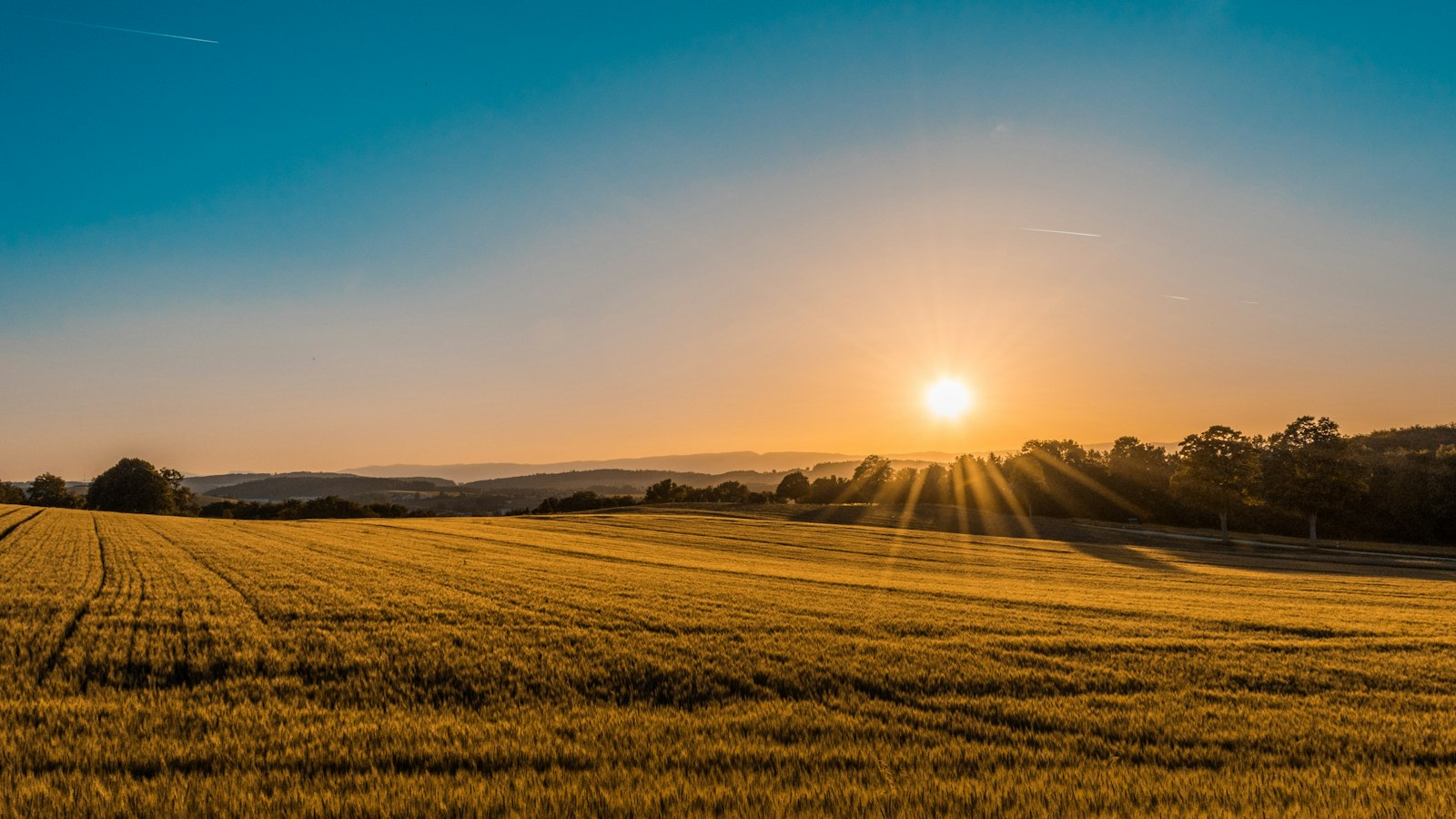 Sunrise over farmland representing sustainable food practices